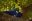 Deep blue Hyacinth Macaws sitting on branch