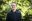 LATATeamPortraits31