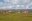 Falkland Islands