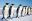 ANTARCTICA – Penguins walking