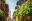 COLOMBIA – Street scene dreamstime_161454943, Re-sized