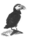 Wandering Puffin Logo