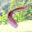 MZ8_6505-Enhanced-NR.jpg