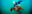 Snorkel-with-Sea-Turtle_cmyk_Weston-Walker-1880.jpg