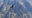 condor-colca-canyon-peru_2.jpg
