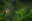 lata-website-cr-toucan.jpeg