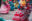 lata-website-oaxaca-dance-1.jpeg