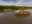 DJI_0388