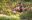 Expedia-Garden-Meditation-73FS6892-KL