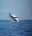 Sustainable-Regenerative-Travel-