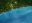 Wildlife-Coastal-Exploration