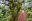 iStock_000060091984_Full
