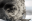img1