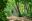 shutterstock_1087173116