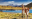 Visit Torres Del Paine National Park, Chile