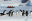 151468189_10151489046324996_2755624602327070488_n-350×225-1