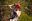 5bfe424aba4e2e080d6b49de9c2968be3f5836fa