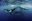 Whales