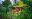 CRISTALINO-LODGE_THIAGO-DIZ_DIZ_1943-Enhanced-NR
