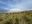 Horseback Cotopaxi