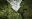 Cristalino-Jungle-Lodge-Canopy-Tower-from-above-Samuel-Melim