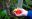 Feeling nature - humminbird