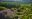 Biodynamic Garden