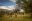 The Great Inca Trail