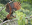 Kapawi Ecolodge has more than 500 species of birds