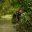 Trekking through the rainforest
