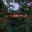 NEW!!! West Bungalows
