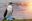Blue-footed booby