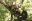 cc0c3039-f8cd-4b53-9114-fc2ad00aeb03