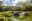 Galapagos Highlands and Giant Tortoises