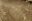 The Nasca Lines