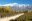Wine Tours