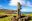 Rapa Nui