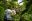 Guided Rainforest Walks