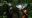 8-primates-project-researchers-in-the-field