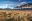 Andes-train
