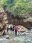 IMG-20260410-WA0038