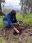 Jornada-de-arborizacion-Geo-2025-3