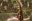 Ollantaytambo-only-women_Condor-Travel