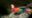 Tropic-Napo-Yasuni-clay-lick-1