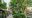 WhatsApp-Image-2026-06-22-at-3.41.25-PM