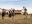 estancia-colibri-9