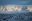 guanacos-winter-