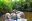 iStock-1464502131-1