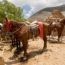 Riding in Latin America