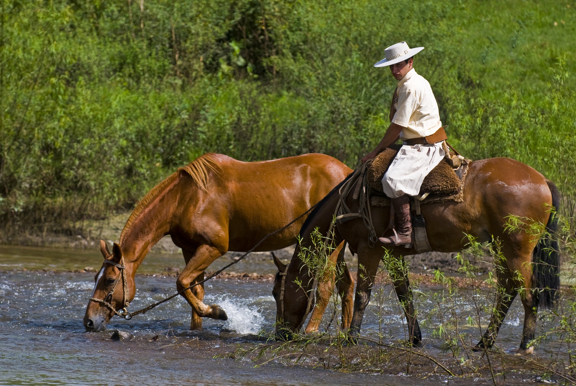 places to visit for horse lovers